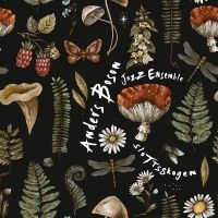 Anders Boson Jazz  Ensemble - Slottsskogen in der Gruppe CD bei Bengans Skivbutik AB (5626727)
