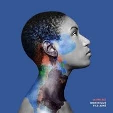 Dominique Fils-Aimé - Namelass in der Gruppe VINYL / RnB-Soul bei Bengans Skivbutik AB (5626755)