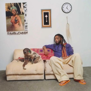 Aminé - 13 Months Of Sunshine (Black Vinyl) in der Gruppe VINYL / Kommande / Hip Hop-Rap bei Bengans Skivbutik AB (5626921)
