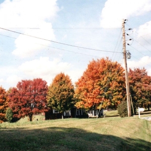 Vegas Water Taxi - Things Are Gonna Be Alright Extende in der Gruppe VINYL / Pop-Rock bei Bengans Skivbutik AB (5627381)