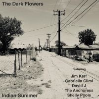 The Dark Flowers - Indian Summer in der Gruppe UNSERE TIPPS / Freitagsveröffentlichungen / 2025-06-13 bei Bengans Skivbutik AB (5628000)