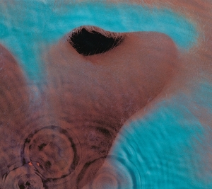 Pink Floyd - Meddle in der Gruppe VINYL / Pop-Rock bei Bengans Skivbutik AB (5628759)
