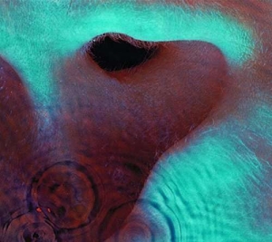 Pink Floyd - Meddle in der Gruppe UNSERE TIPPS / Freitagsveröffentlichungen / 2025-06-27 bei Bengans Skivbutik AB (5628760)