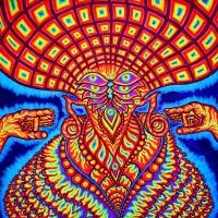 The Dream Syndicate - The Universe Inside in der Gruppe VINYL / Pop-Rock bei Bengans Skivbutik AB (5628902)