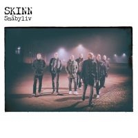 Skinn - Småbyliv in der Gruppe UNSERE TIPPS / Startsida - Vinyl Nyheter & Kommande bei Bengans Skivbutik AB (5628988)