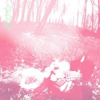 Shower Curtain - Words From A Wishing Well (Benadryl in der Gruppe VINYL / Kommande / Pop-Rock bei Bengans Skivbutik AB (5629449)