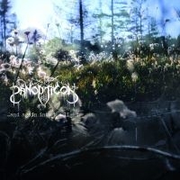 Panopticon - ...And Again Into The Light in der Gruppe CD / Kommande / Hårdrock bei Bengans Skivbutik AB (5629463)