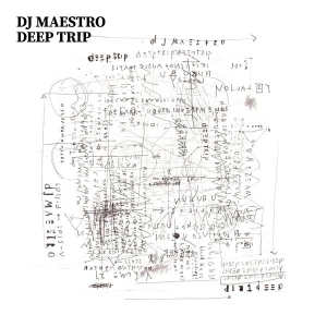 Dj Maestro - Deep Trip in der Gruppe CD bei Bengans Skivbutik AB (5629642)