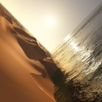 Pritchard Mark - Under The Sun in der Gruppe VINYL / Kommande / Pop-Rock bei Bengans Skivbutik AB (5630032)