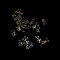 Deathcrash - Return in der Gruppe CD / Pop-Rock bei Bengans Skivbutik AB (5631107)