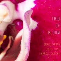 Trio Of Bloom - Trio Of Bloom in der Gruppe CD / Kommande / Jazz bei Bengans Skivbutik AB (5631206)
