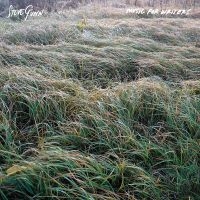 Gunn Steve - Music For Writers (Opaque Orange Vi in der Gruppe VINYL / Kommande / Pop-Rock bei Bengans Skivbutik AB (5631215)