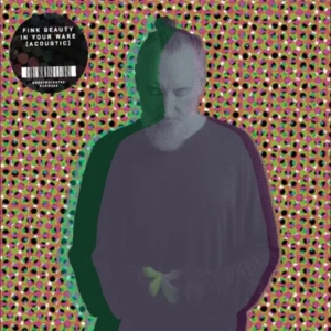 Fink - Beauty In Your Wake Acoustic in der Gruppe UNSERE TIPPS / Freitagsveröffentlichungen / 2025-07-18 bei Bengans Skivbutik AB (5631248)