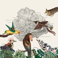 Friendly Rich - The Birds Of Marsville in der Gruppe Kommande - alla format bei Bengans Skivbutik AB (5631330)