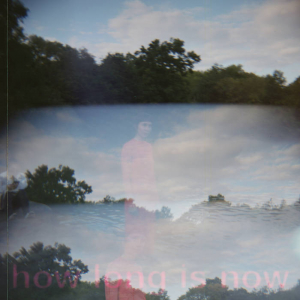 Anna Haus - How Long Is Now in der Gruppe VINYL / Pop-Rock bei Bengans Skivbutik AB (5631388)