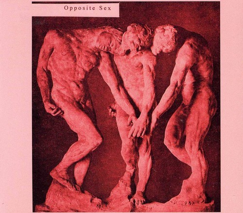 Opposite Sex - Opposite Sex in der Gruppe CD / Pop-Rock bei Bengans Skivbutik AB (5631670)