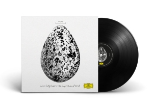 Snorri Hallgrímsson - The Importance Of Birds in der Gruppe VINYL / Kommande / Klassiskt bei Bengans Skivbutik AB (5632298)