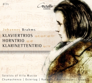 Brahms Johannnes - Piano Trios Opp.8-87-101/Horn Trio in der Gruppe CD / Klassiskt bei Bengans Skivbutik AB (5632536)