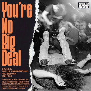 Various Artists - You're No Big Deal - Grunge, The U.S. Underground And Beyond 1984-1994 (4CD) in der Gruppe UNSERE TIPPS / Freitagsveröffentlichungen / 2025-09-26 bei Bengans Skivbutik AB (5632617)