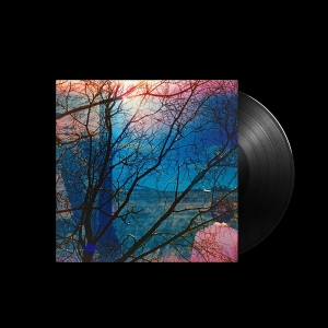Idlewild - Idlewild in der Gruppe VINYL bei Bengans Skivbutik AB (5632742)