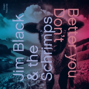 Jim Black & The Schrimps - Better You Don't in der Gruppe CD / Kommande / Jazz bei Bengans Skivbutik AB (5633186)