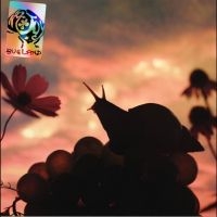 No Joy - Bugland in der Gruppe VINYL / Kommande / Pop-Rock bei Bengans Skivbutik AB (5633328)