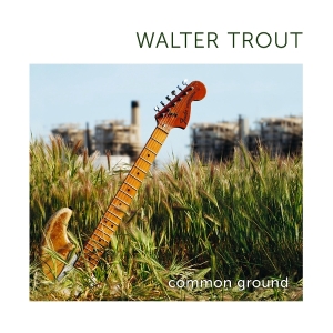 Walter Trout - Common Ground in der Gruppe VINYL / Kommande / Blues bei Bengans Skivbutik AB (5633424)