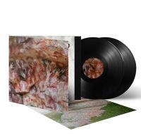 Fauna - Ochre & Ash (2 Lp Black Vinyl) in der Gruppe UNSERE TIPPS / Am meisten vorbestellt - Vinyl bei Bengans Skivbutik AB (5633474)
