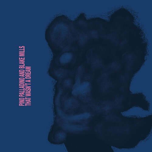 Pino Palladino Blake Mills - That Wasn't A Dream in der Gruppe VINYL / Jazz bei Bengans Skivbutik AB (5633485)