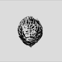 Black Lips - Bebop Armageddon (Detours & Offcuts in der Gruppe VINYL / Kommande / Pop-Rock bei Bengans Skivbutik AB (5633666)