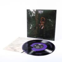 Castle Rat - Into The Realm Lp in der Gruppe VINYL / Kommande / Hårdrock bei Bengans Skivbutik AB (5633673)