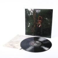 Castle Rat - Into The Realm Lp in der Gruppe VINYL / Kommande / Hårdrock bei Bengans Skivbutik AB (5633674)