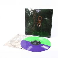 Castle Rat - Into The Realm Lp in der Gruppe VINYL / Kommande / Hårdrock bei Bengans Skivbutik AB (5633675)