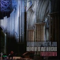Knut Reiersrud Og Iver Kleive - Vidunderligst Av Alt På Jord in der Gruppe VINYL / Kommande / Pop-Rock bei Bengans Skivbutik AB (5633680)