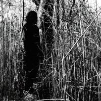 Billy Woods - Today, I Wrote Nothing (10 Year Ann in der Gruppe CD / Kommande / Hip Hop-Rap bei Bengans Skivbutik AB (5633714)