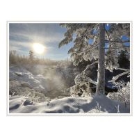 Panopticon - Laurentian Blue in der Gruppe CD bei Bengans Skivbutik AB (5633806)