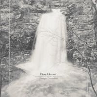 Joseph Decosimo - Fiery Gizzard in der Gruppe VINYL / Kommande / Pop-Rock bei Bengans Skivbutik AB (5633822)