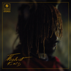Thundercat - Split Seams/Vikt Hörn It Is What It Is (Red Vinyl) in der Gruppe VINYL bei Bengans Skivbutik AB (5634165)