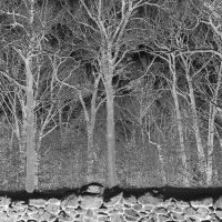 Pile - Sunshine And Balance Beams in der Gruppe UNSERE TIPPS / Freitagsveröffentlichungen / 2025-08-29 bei Bengans Skivbutik AB (5634410)