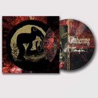 Gathering The - Mandylion (Picture Vinyl Lp) in der Gruppe VINYL / Kommande / Hårdrock bei Bengans Skivbutik AB (5635321)