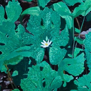 Early Fern - Wetland Interiors in der Gruppe VINYL / Kommande / Pop-Rock bei Bengans Skivbutik AB (5635603)