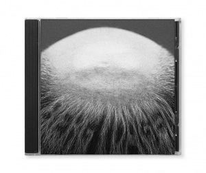 Vasas Flora Och Fauna - Berg I Dalen in der Gruppe CD / Kommande bei Bengans Skivbutik AB (5635805)