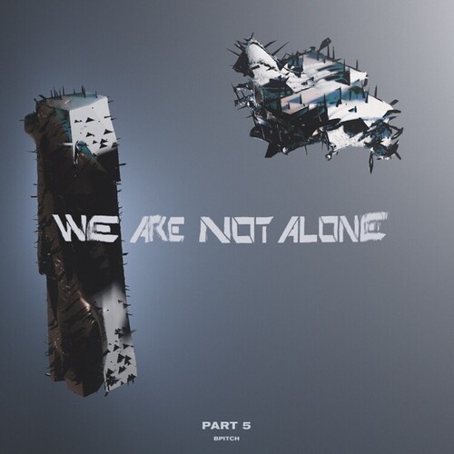 Various Artists - We Are Not Alone - Part 5 in der Gruppe VINYL / Pop-Rock bei Bengans Skivbutik AB (5635974)
