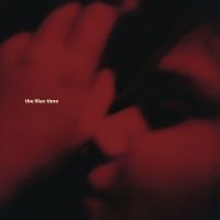 Lilac Time The - Looking For A Day In The Night in der Gruppe CD / Kommande / World Music bei Bengans Skivbutik AB (5636914)