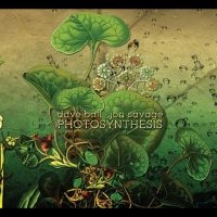 Dave Ball & Jon Savage - Photosynthesis in der Gruppe CD bei Bengans Skivbutik AB (5636928)
