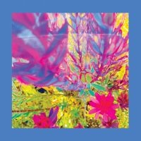 The Reds Pinks And Purples - The Past Is A Garden I Never Fed in der Gruppe VINYL / Kommande / Pop-Rock bei Bengans Skivbutik AB (5636951)