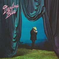Marcus King The Marcus King Band - Darling Blue (Vinyl) in der Gruppe VINYL / Pop-Rock bei Bengans Skivbutik AB (5637078)