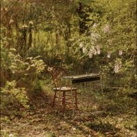Luke Schneider - For Dancing In Quiet Light in der Gruppe VINYL / Kommande / Pop-Rock bei Bengans Skivbutik AB (5637194)