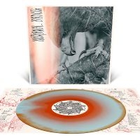 Author & Punisher - Nocturnal Birding in der Gruppe VINYL / Kommande / Hårdrock bei Bengans Skivbutik AB (5637205)
