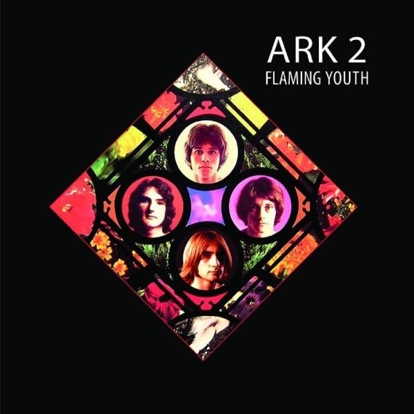 Flaming Youth - Ark 2 in der Gruppe VINYL / Bestseller bei Bengans Skivbutik AB (5637227)